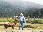 10 Tempat Wisata di Ciwidey Bandung Yang Gratis dan Murah Meriah Cocok Untuk Mengisi Liburan Bersama Keluarga